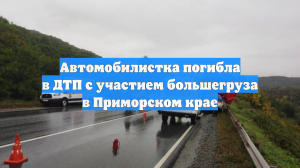 Автомобилистка погибла в ДТП с участием большегруза в Приморском крае