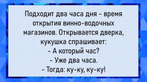 Как женщины в тюряге побег устроили! Сборник свежих анекдотов