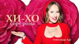 Александр Адэ - Роза Хи Хо (Ксении Собчак)