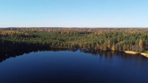 Жилой дом в Шапках в окружении озёр и лесов.