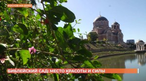 Дендрологи храма Георгия Победоносца воссоздают Библейский сад