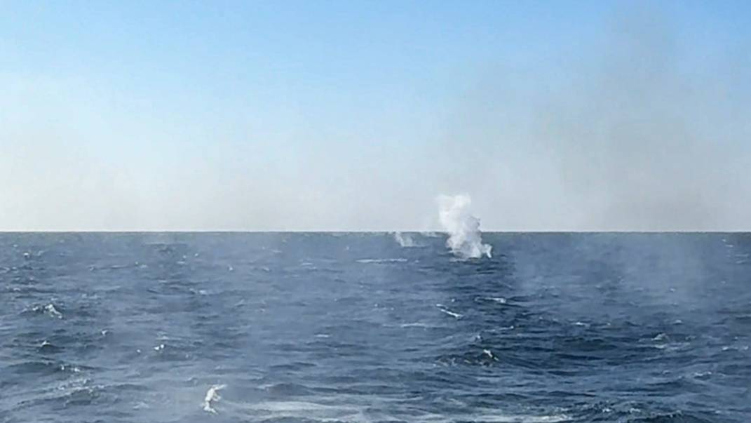 Минобороны РФ показало кадры уничтожения безэкипажного катера ВСУ в Черном море