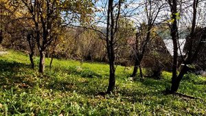 Меж размашистых строк...