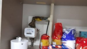 Где остановиться в городе Ржев? Выбор между отелем и апартаментами.