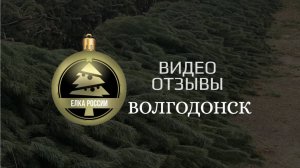 🎄НОВОГОДНИЕ ДЕРЕВЬЯ оптом | видеоотзыв ВОЛГОДОНСК