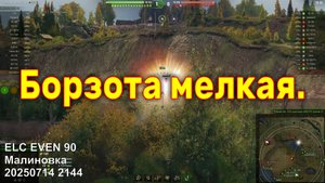 Борзота мелкая. ELC EVEN 90. Малиновка. 20250714 2144.