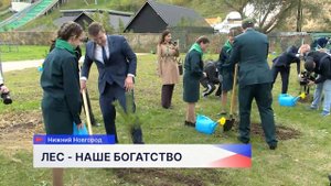 Всероссийский форум «Леса России» проходит на Нижегородской ярмарке