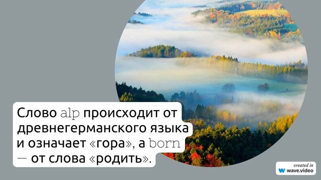 Фамилия Аллерборн: происхождение, история, значение и правильное склонение - все, что нужно знать!