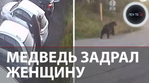 Медведь терроризировал город | «Очень большой» | Напал на троих жителей Камчатки за утро