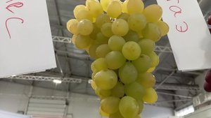 Виноград Красноярска. Сергей Будрис. Выставка винограда в Мвдц Сибирь  25-28 сентября.