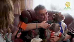 В мире домашних животных. Анонс. Канал В Мире животных