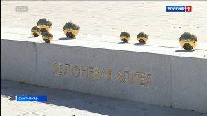 Администрация Сыктывкара расторгла контракт с подрядчиком по озеленению «Яблоневой аллеи»