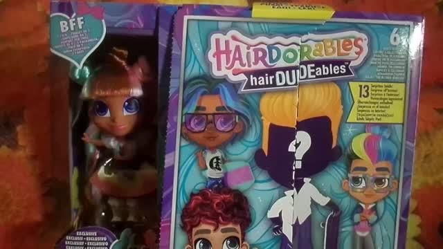 Обзор на кукол Хэйрдорблс-Hairdorables Парочка Диди и Макс