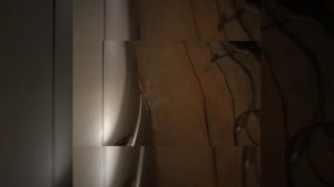 полная покраска за три дня