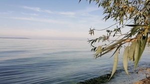 тишь да гладь.mp4