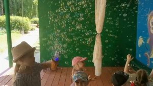 Летнее настроение 2025