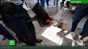 📺📺📺 На канале НТВ вышла новость с выставки «НЕВА», где были представлены экзоскелеты ProExo