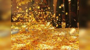 Стихи для души. Н. Заболоцкий. Осеннее утро.