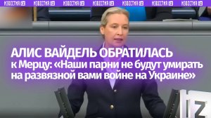 Алис Вайдель: «Мерц, наши парни не будут умирать на развязной вами войне на Украине»