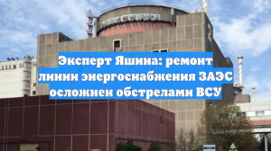 Эксперт Яшина: ремонт линии энергоснабжения ЗАЭС осложнен обстрелами ВСУ
