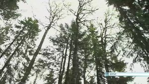 25.09.2025 Пожароопасный сезон завершён