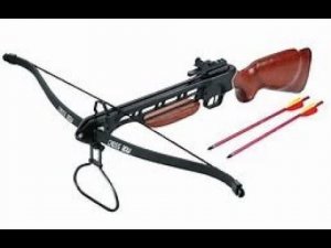 Россиянам разрешили охотиться с луком и арбалетом.