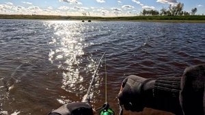 Рыбалка на спиннинг