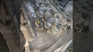 1000302388.mp4 lf bl