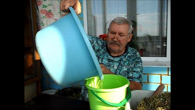 Свои семена редиса