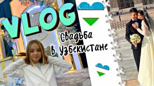 VLOG/ СВАДЬБА В УЗБЕКИСТАНЕ🇺🇿