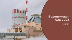 Воронежская АЭС 2026