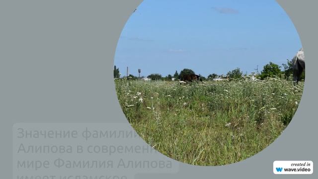 Фамилия Алипова: происхождение, история и значение - всё, что вы должны знать