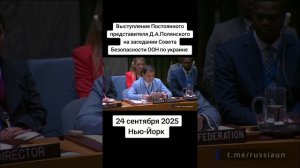 Заседание Совета безопасности ООН по Украине...