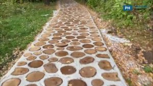 В рязанском Лесопарке проложили удивительную эко-тропу