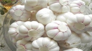 Маринованный чеснок головками