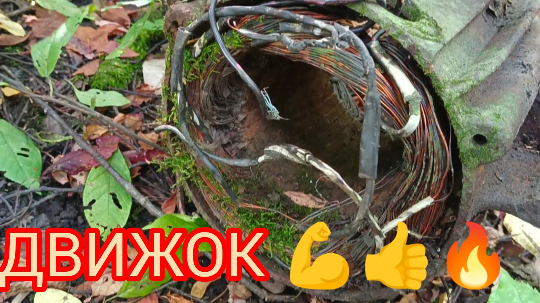 НАШЛИ КАБАНЧИКА !!! И НЕ ДУМАЛИ ЧТО В ТАКОМ МЕСТЕ МОГ ПОПАСТЬСЯ ДВИЖОК 💪 смотреть онлайн