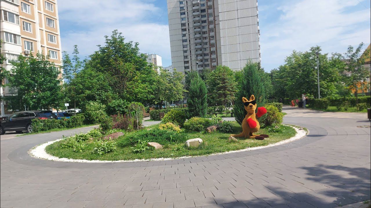 Зелёные зоны района Ново-Переделкино (13.07.24)