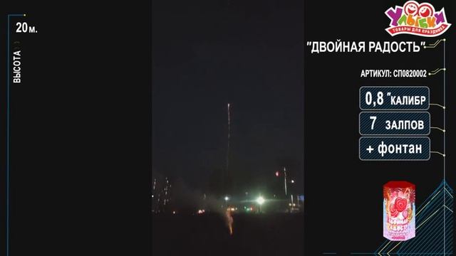 СП0820002 Двойная радость смотреть онлайн