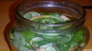 Маринованный портулак