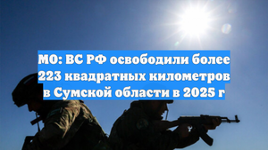 МО: ВС РФ освободили более 223 квадратных километров в Сумской области в 2025 г