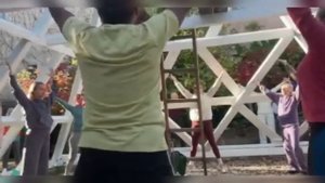 Утро на Форуме МаЭД в Универсолисе. Елена Голуб. Мир Универсологии