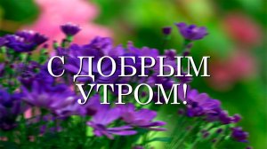 Доброе утро! Открытки с добрым утром. Самое красивое пожелание Хорошего дня в музыкальной открытке