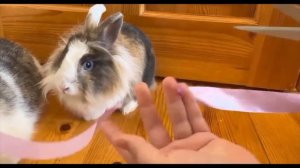 ремонт на чердаке