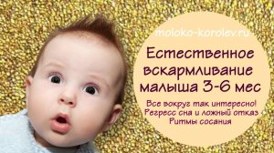 Естественное (грудное) вскармливание малыша от 3-х до 6-ти месяцев