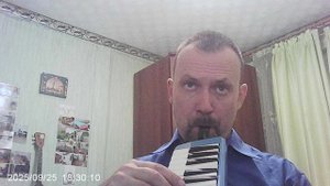 Мелодион: "Как у наших у ворот" в соль-мажоре и в обработке автора канала