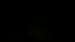 Мы все рыбачим