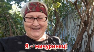 Дача 25.09.2025. Берёза пожелтела - пора сажать чеснок.