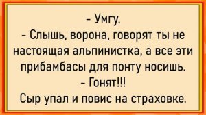 Как мужик на Новый Год ОТЖЕГ! Сборник Свежих Новогодних Анекдотов