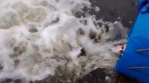 Зарыбление водоема форелью.