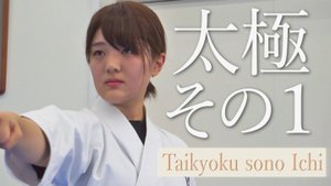 Тайкиоку Соно Ичи - Ката Карате Кёкусинкай (Kyokushin Karate Kata - Taikyoku Sono Ichi - 太極その１) v.2